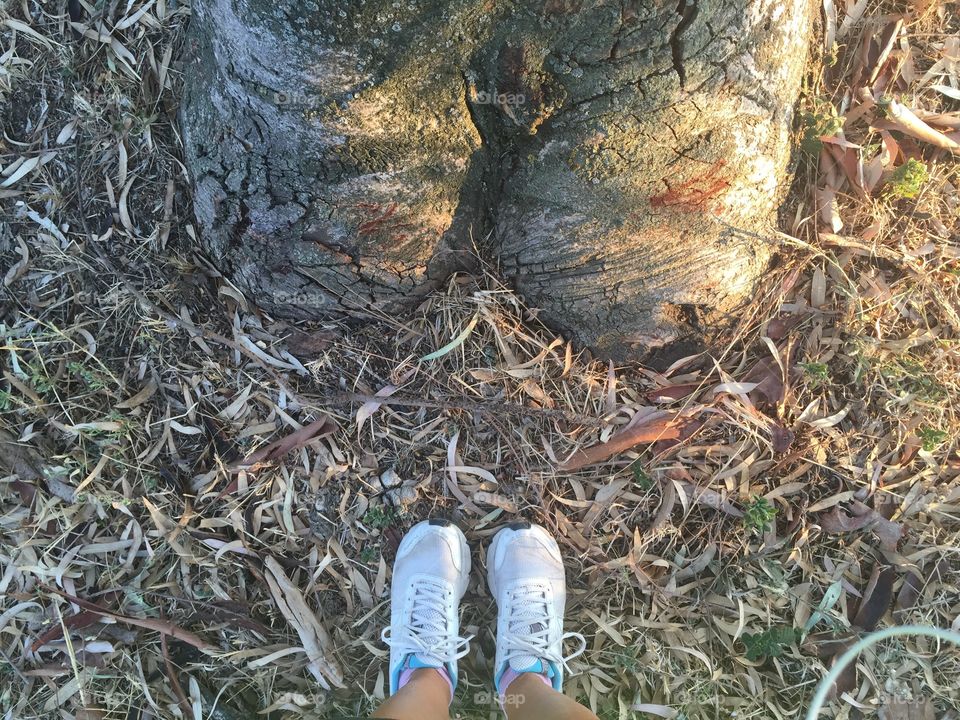 mentre camminavo per allenarmi ho notato questo albero particolare che sembra propio avere i piedi e le gambe !