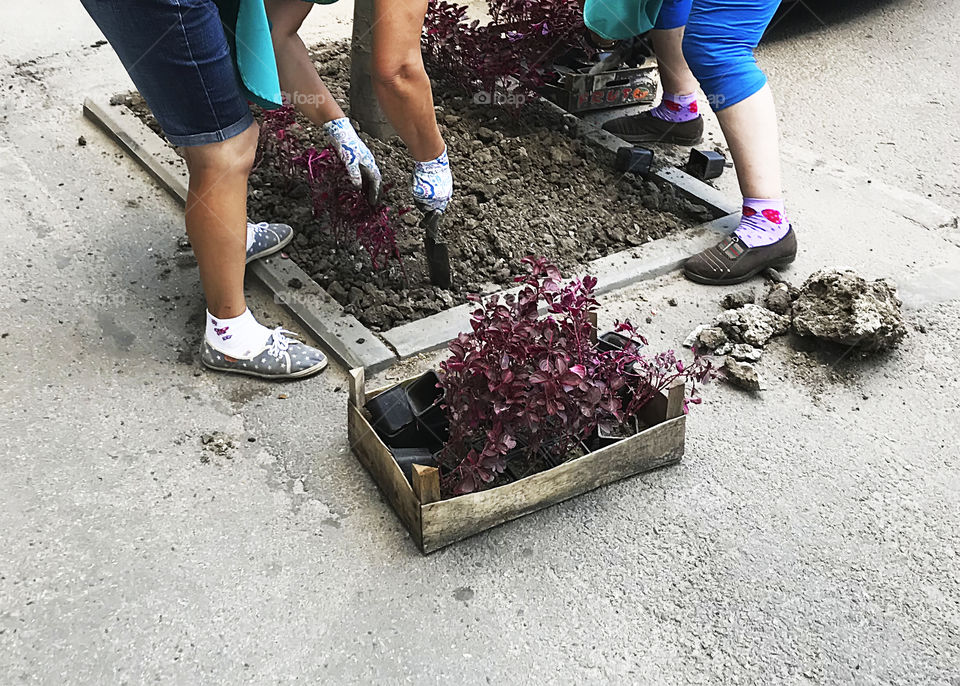 Outdoor gardening 