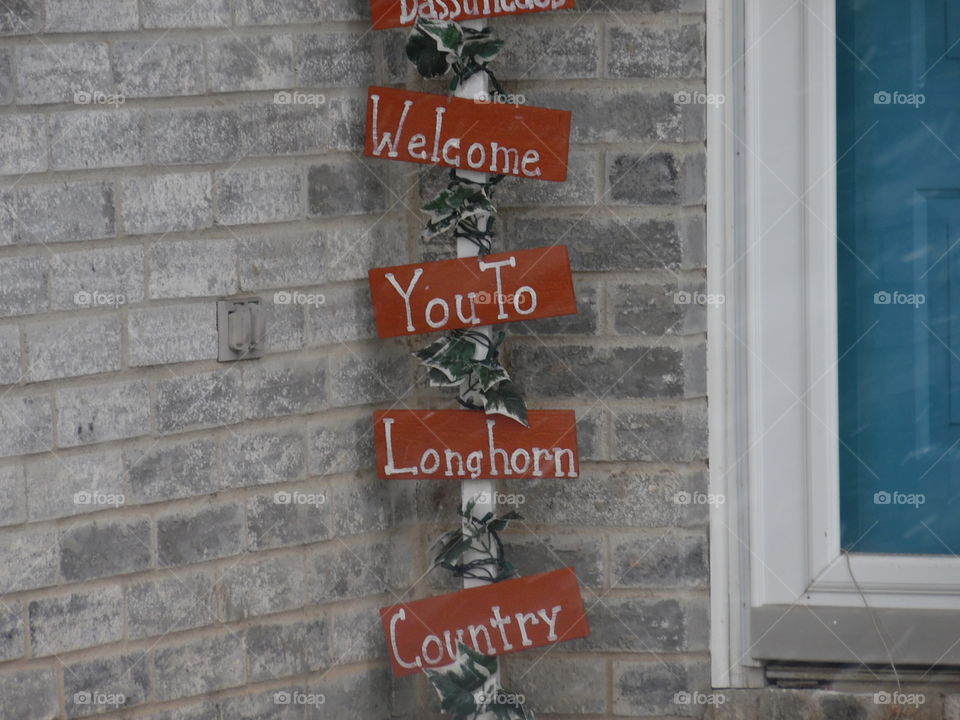 You in longhorn country