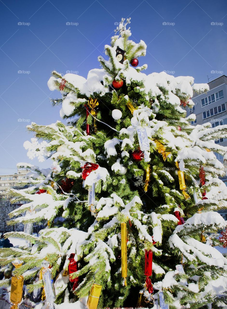 New Year is coming ❄️