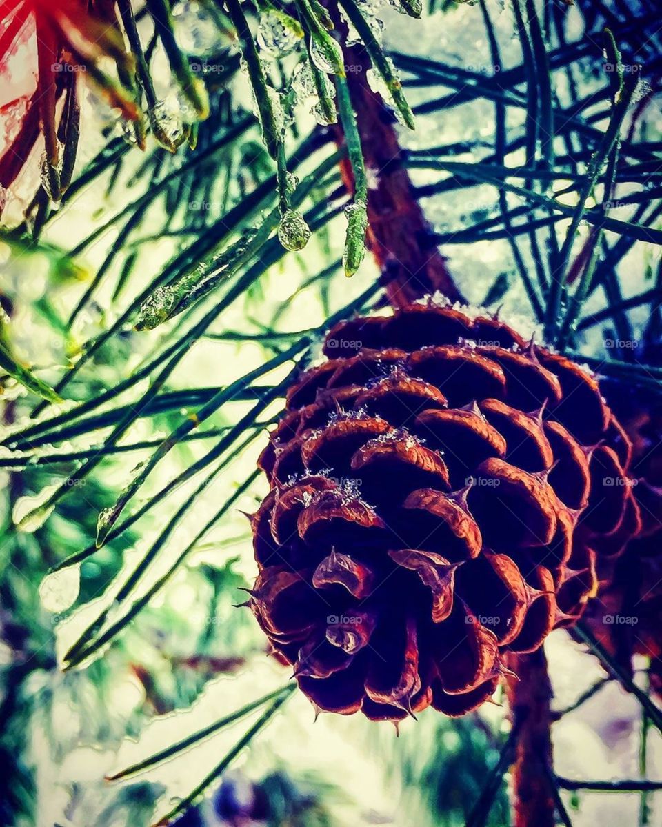 The Earth has music for those who listen...