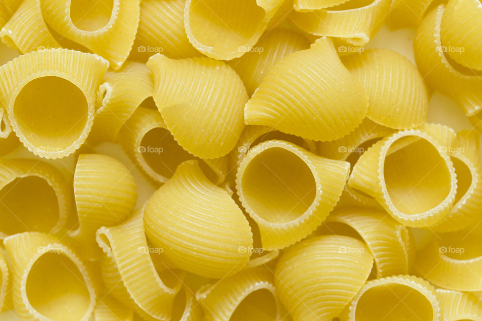 Raw uncooked dry Conchiglioni italian pasta. shells shaped