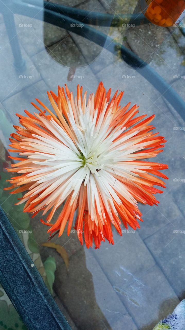 Beauty can be simple!!