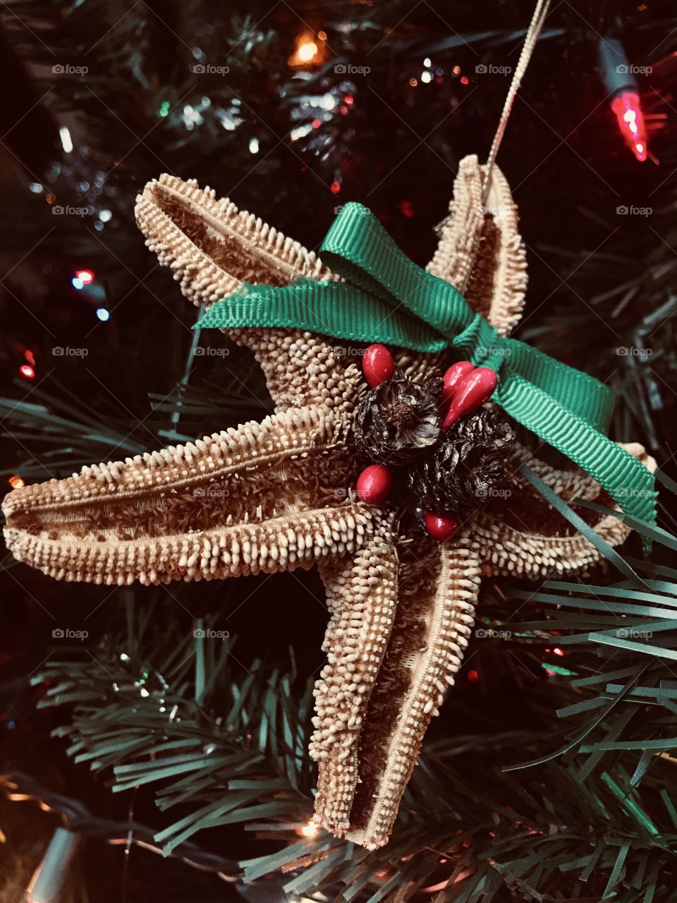 Starfish Christmas ornament on tree