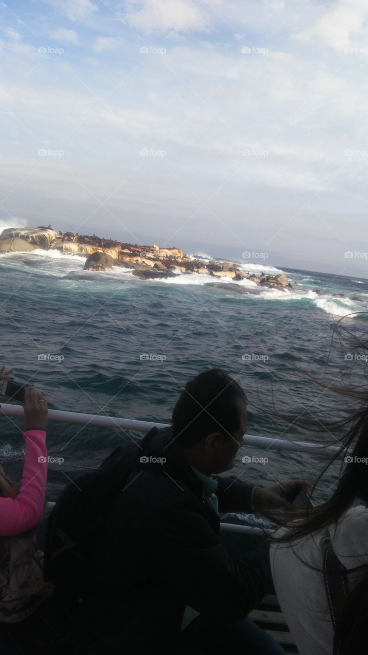 Seal Island Atlantic ocan SA