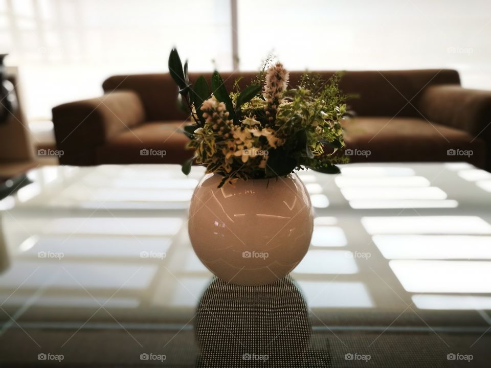 Close-up of potted plant