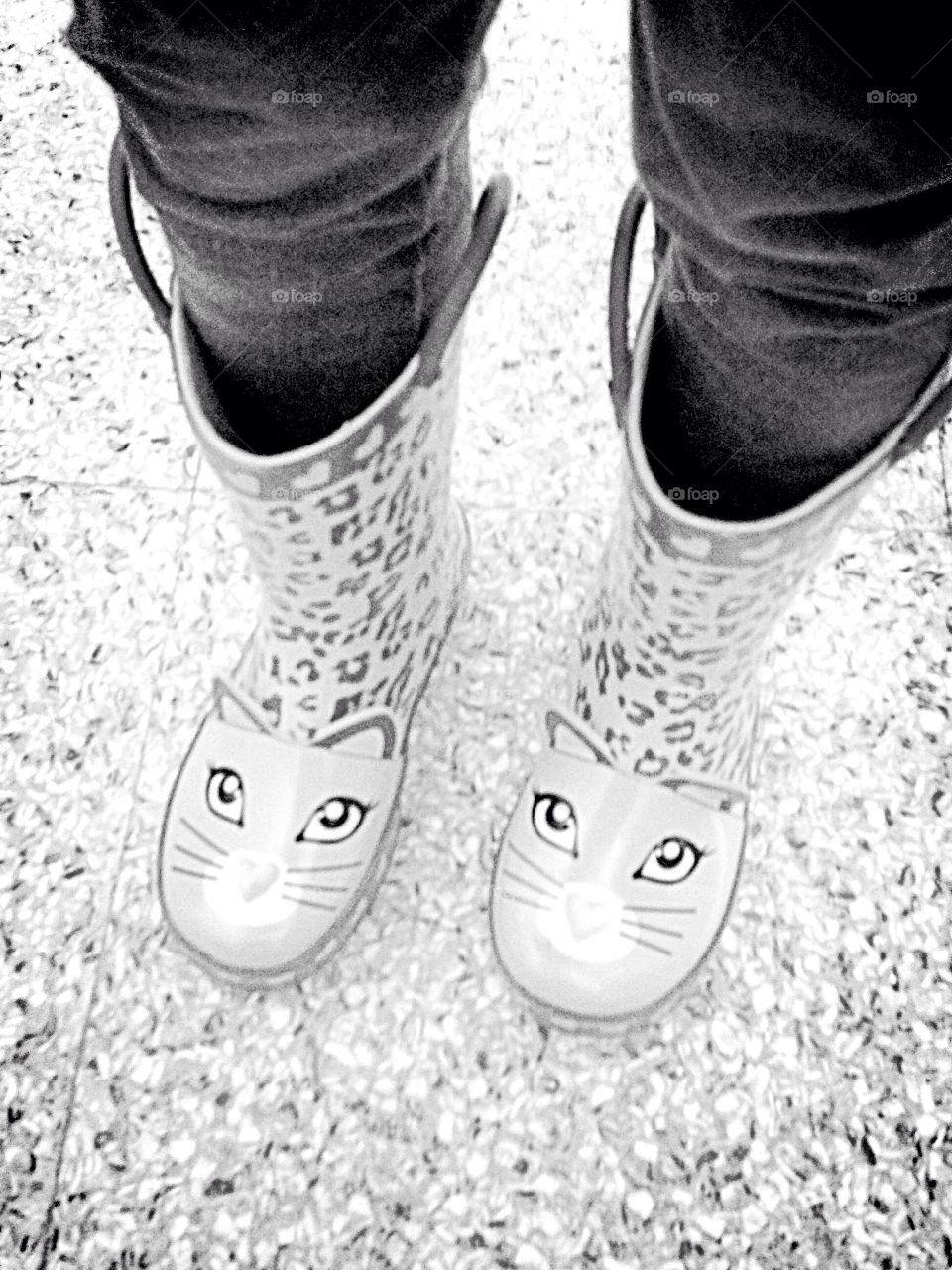 Cat wellington boots blended in background 