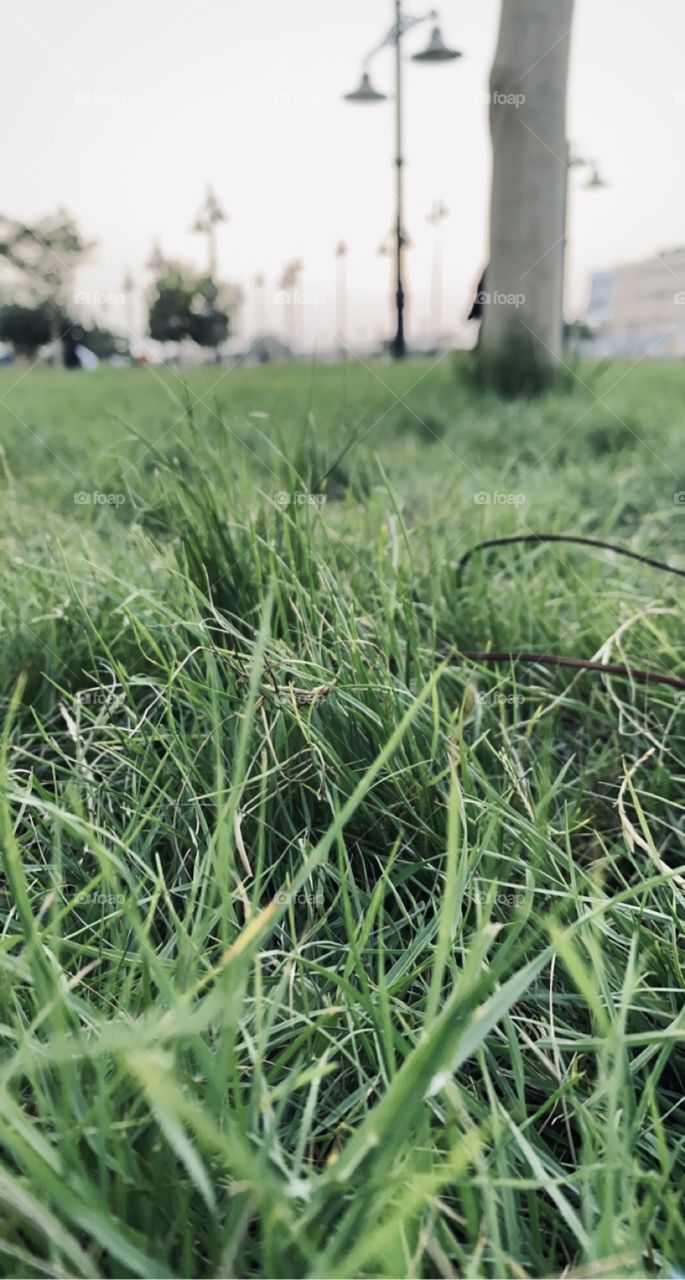 Walking with my family 