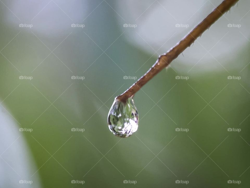 Water drop