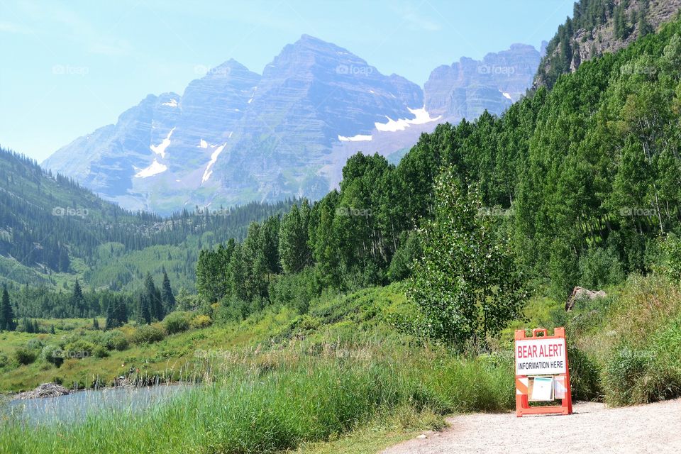 Bear alert in Maroon Bells 