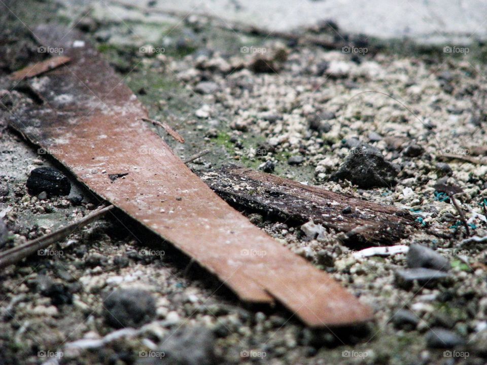 Close-up view of a piece of wood lying on the ground full of gravel and dust