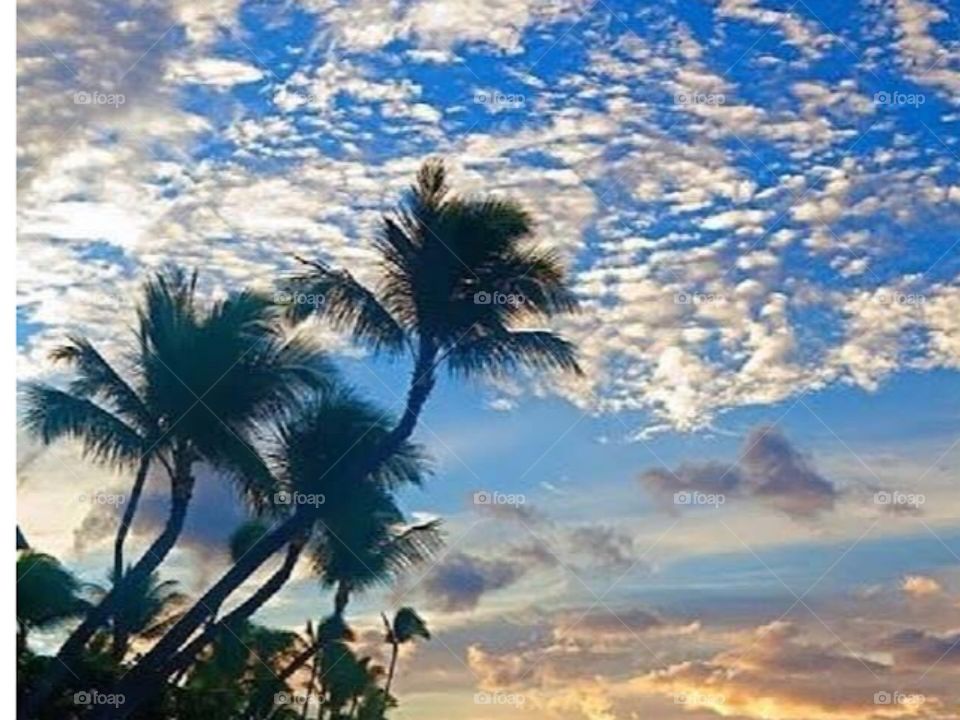 Hawaii skies
