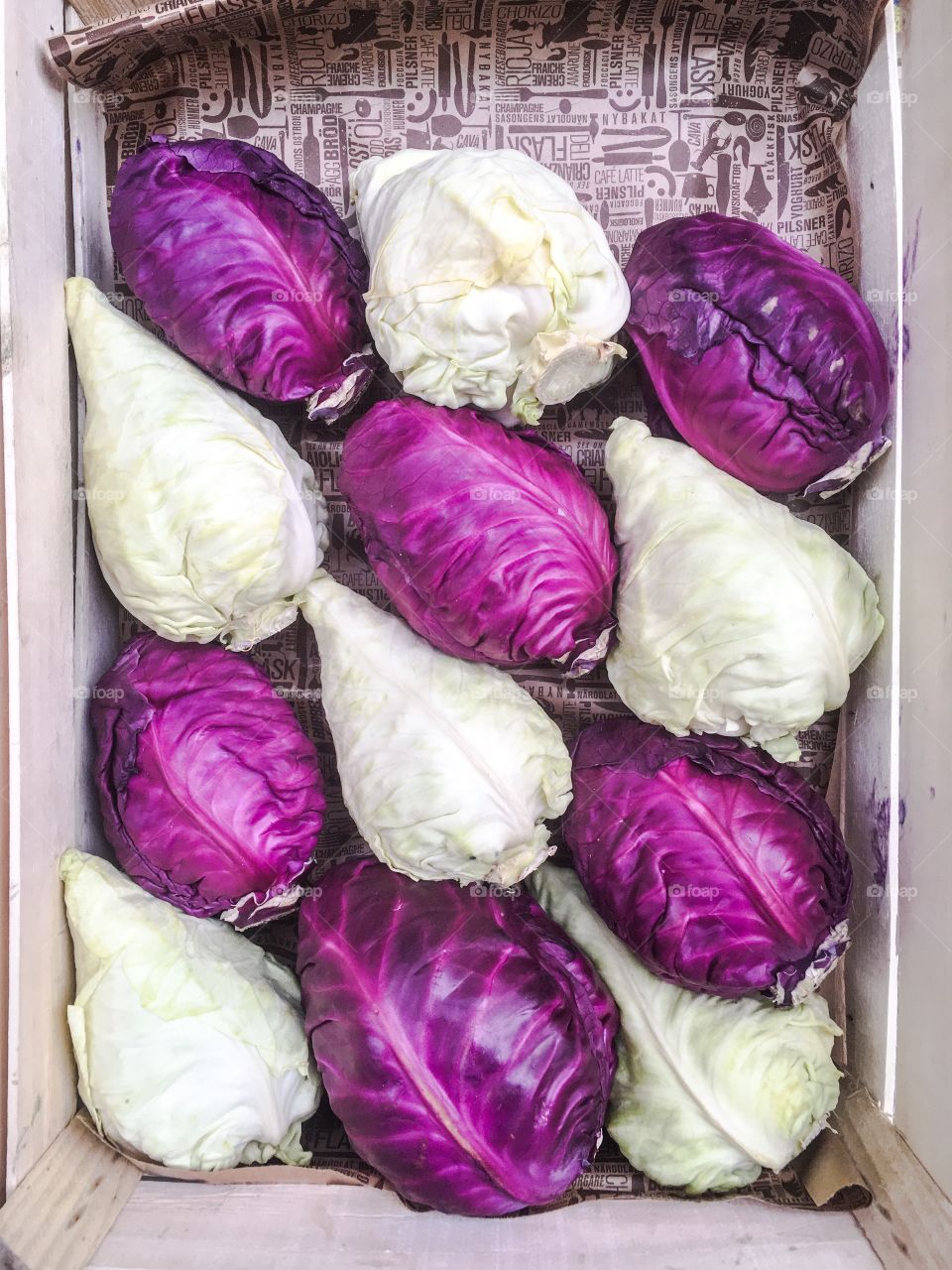 Pretty cabbages in a box