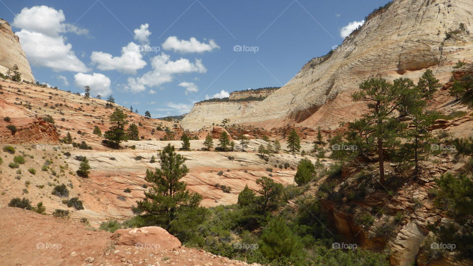 National Zion park mountains