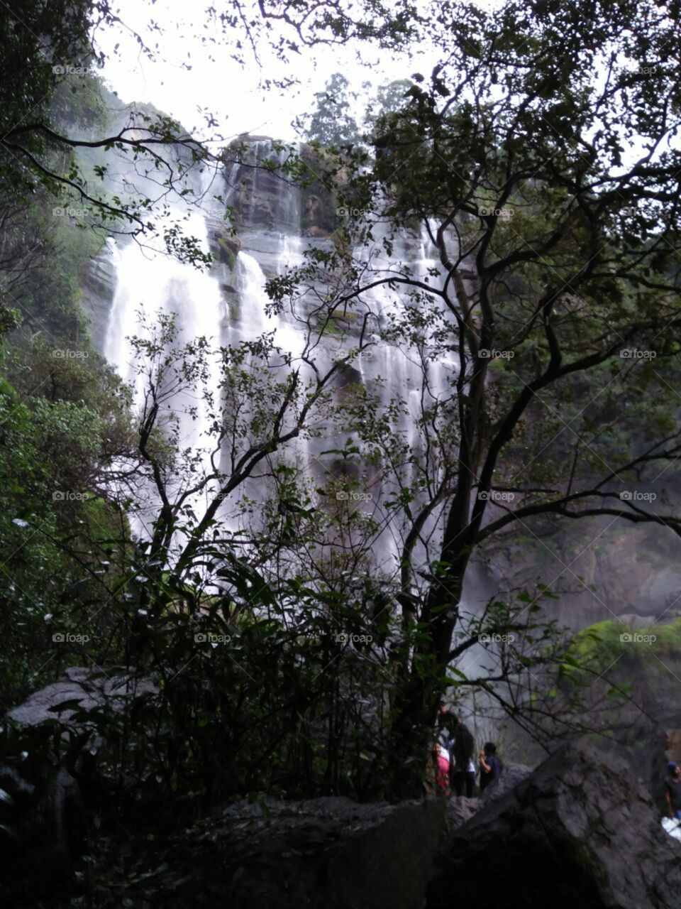 waterfall in Nuwereliya Sri Lanka