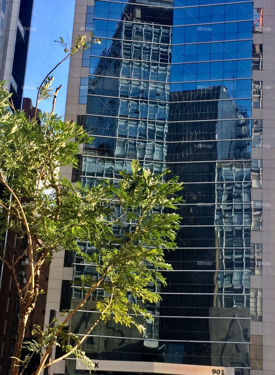 Paulista Avenue, São Paulo 