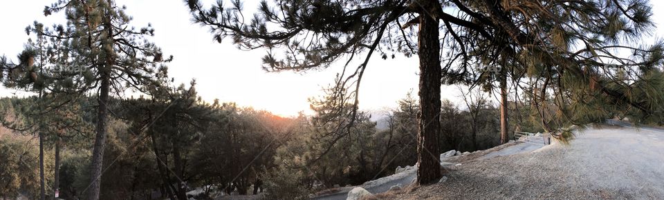 Mountain View with a branch kissing the skyline as the sun sets and dips behind the rolling hills of Idyllwild California. 