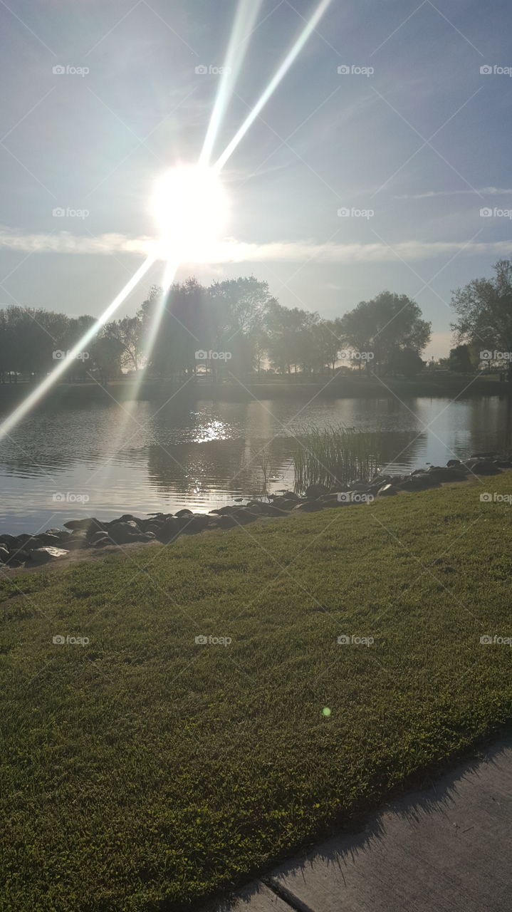 the late afternoon rays of a setting sun, over the lake at a park.