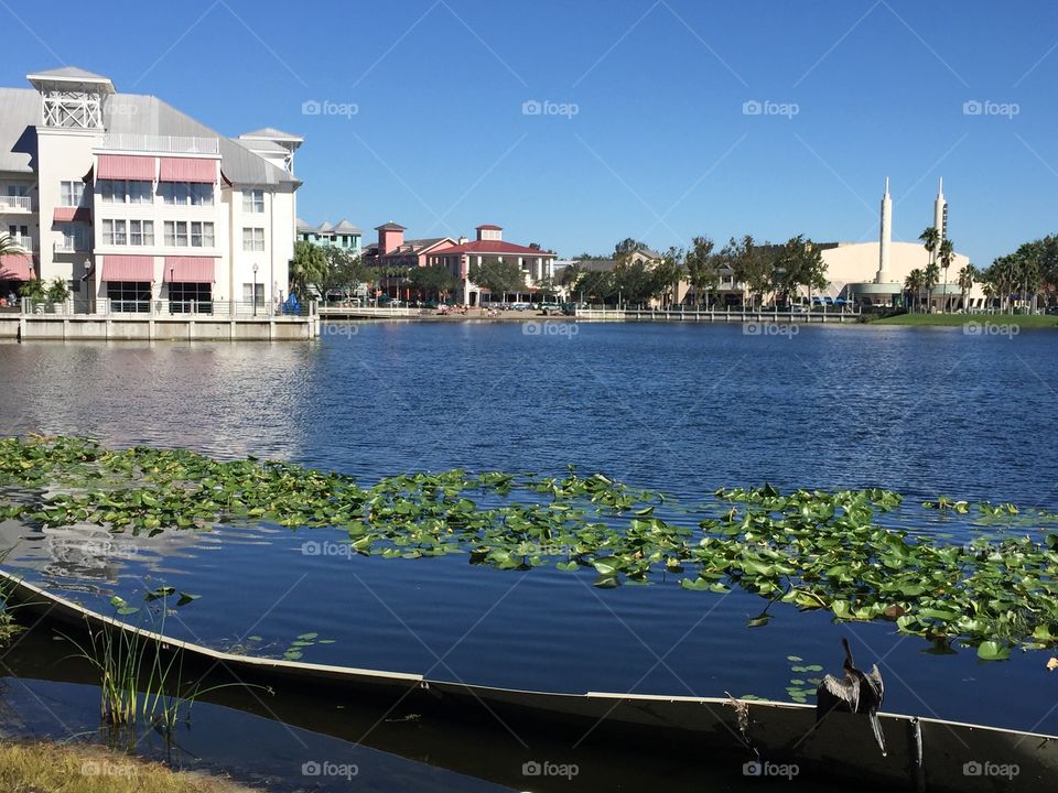 Celebration Florida