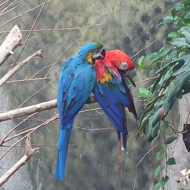 Zoo time 