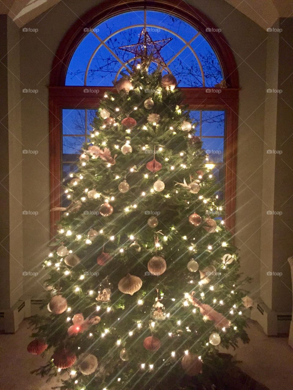 Christmas, Winter, Christmas Tree, Pine, Decoration
