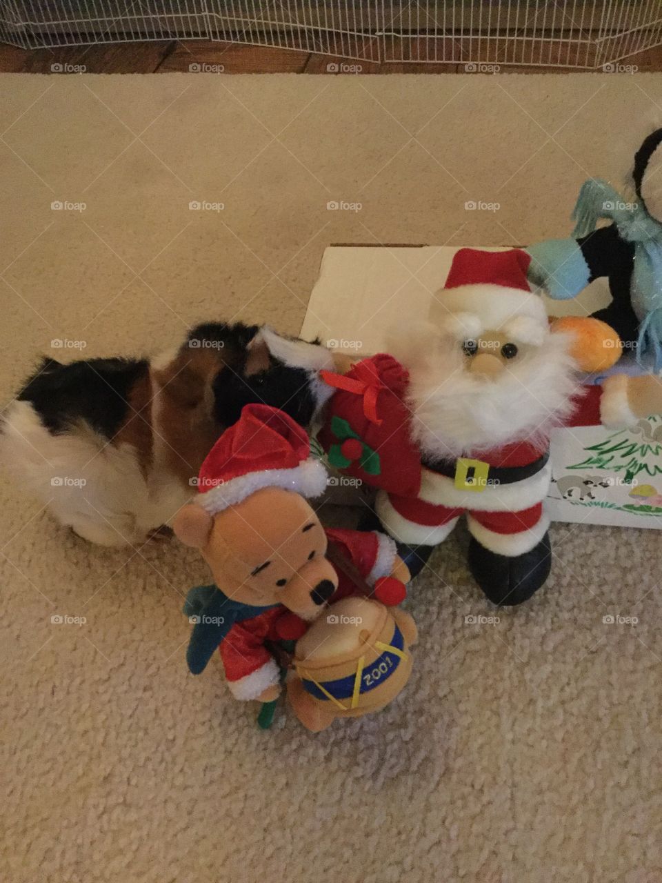 Dog, Canine, Toy, Mammal, Christmas