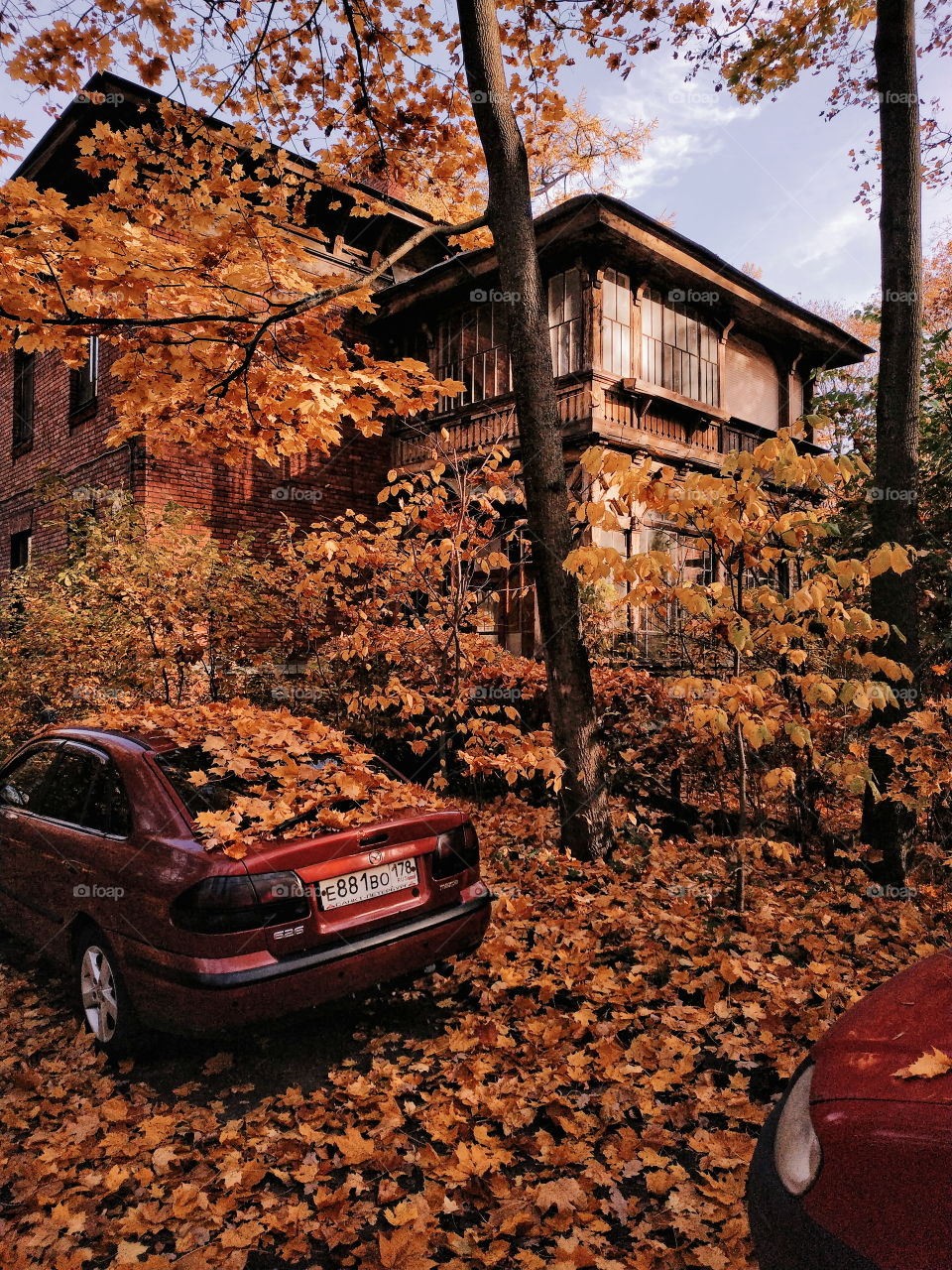 Old house in leaves