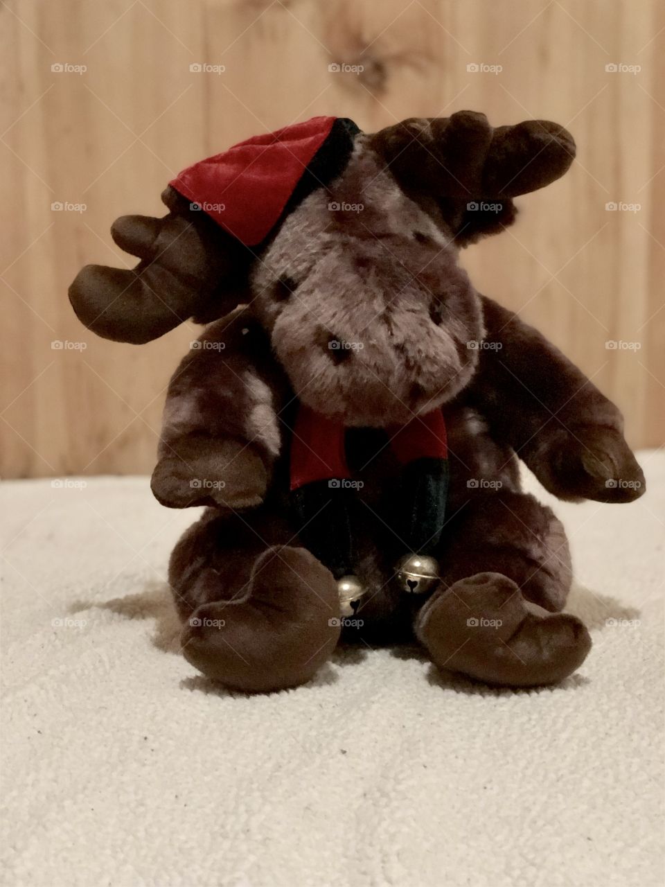 This Mangy Maine Moose is ready for Christmas with his first studio closeup.  