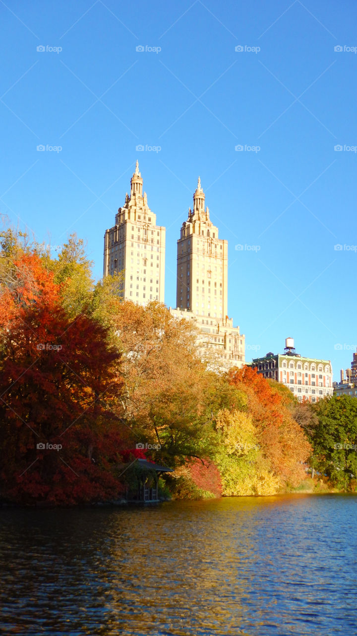 New York fall colors