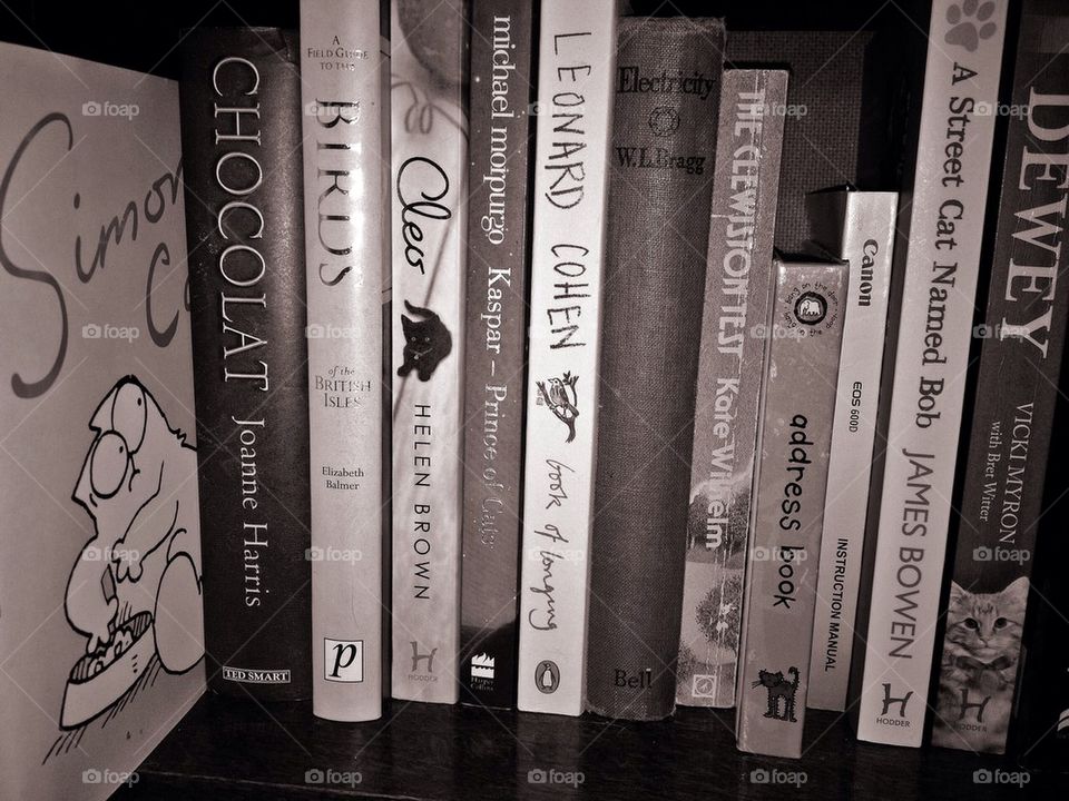 A row of books on a bookcase. 