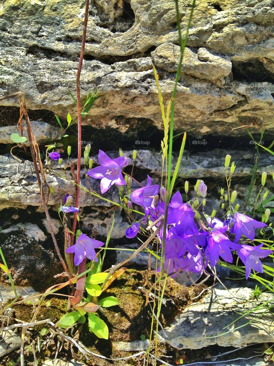beach ocean flowers happy by somebeach