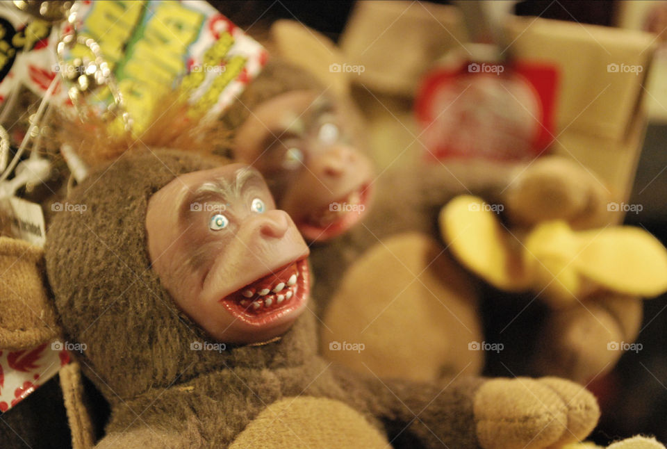 Creepy Monkey Souvenirs, Old Montreal Quebec Canada 