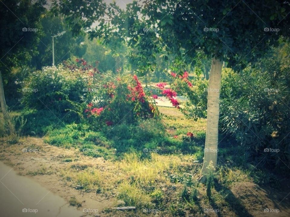 A cool summer breeze...