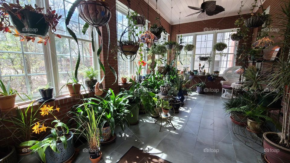 A newly built sunroom being filled with beautiful green plants