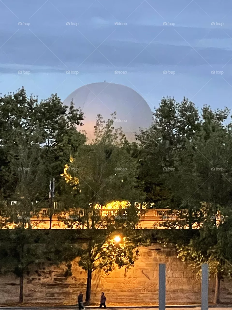 vasque olympique