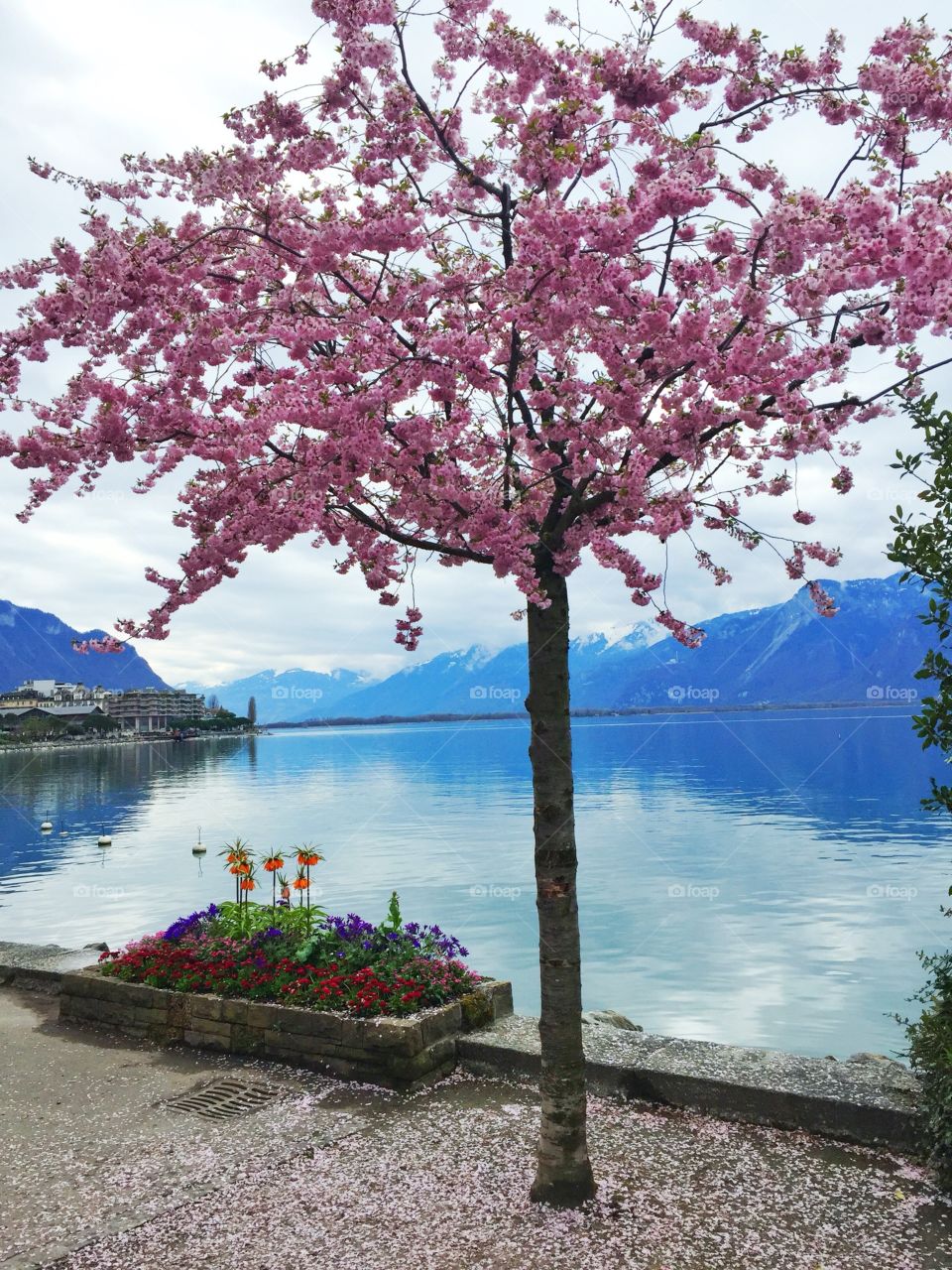 Switzerland mountain
