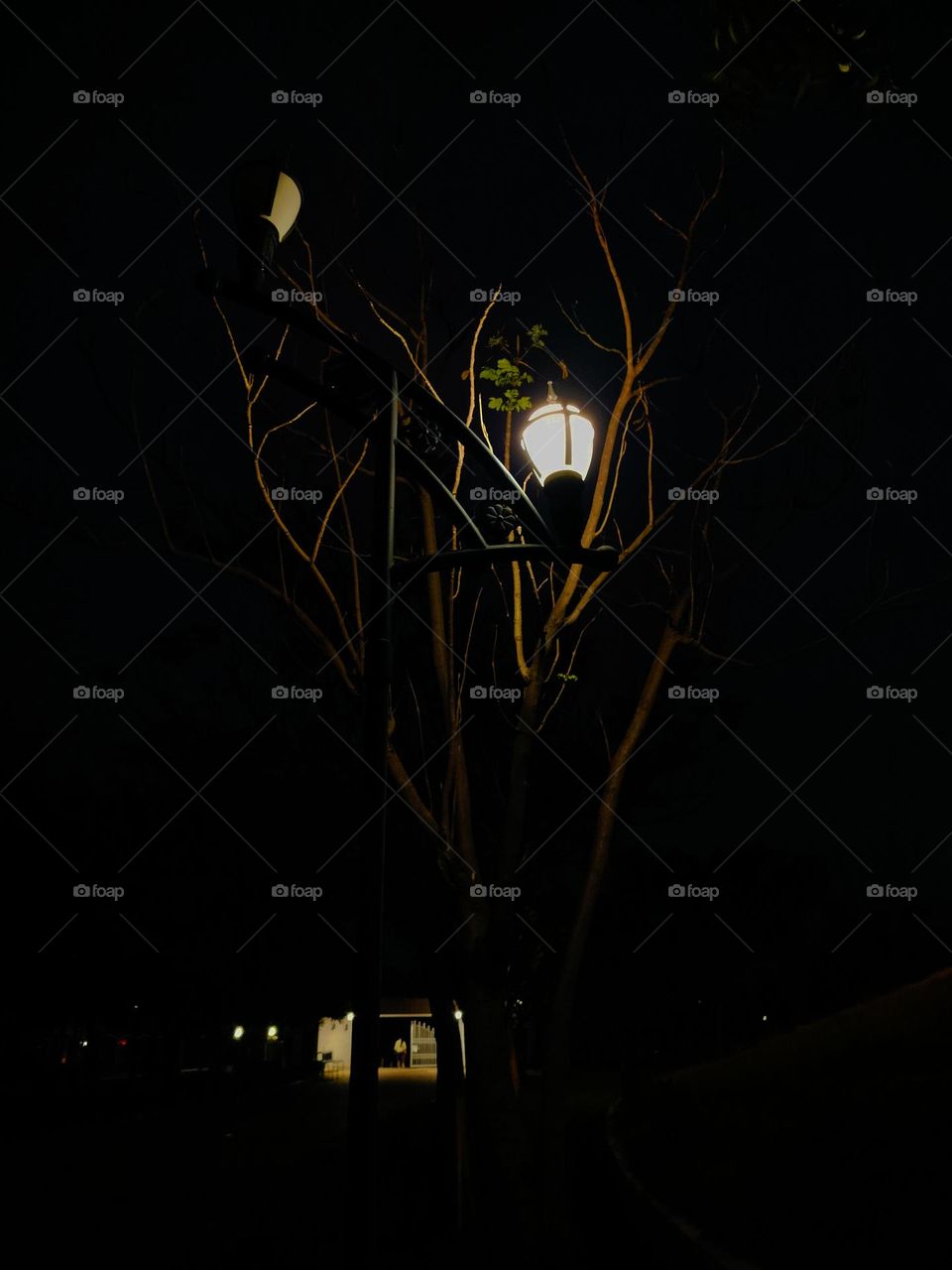 would you the light on dark