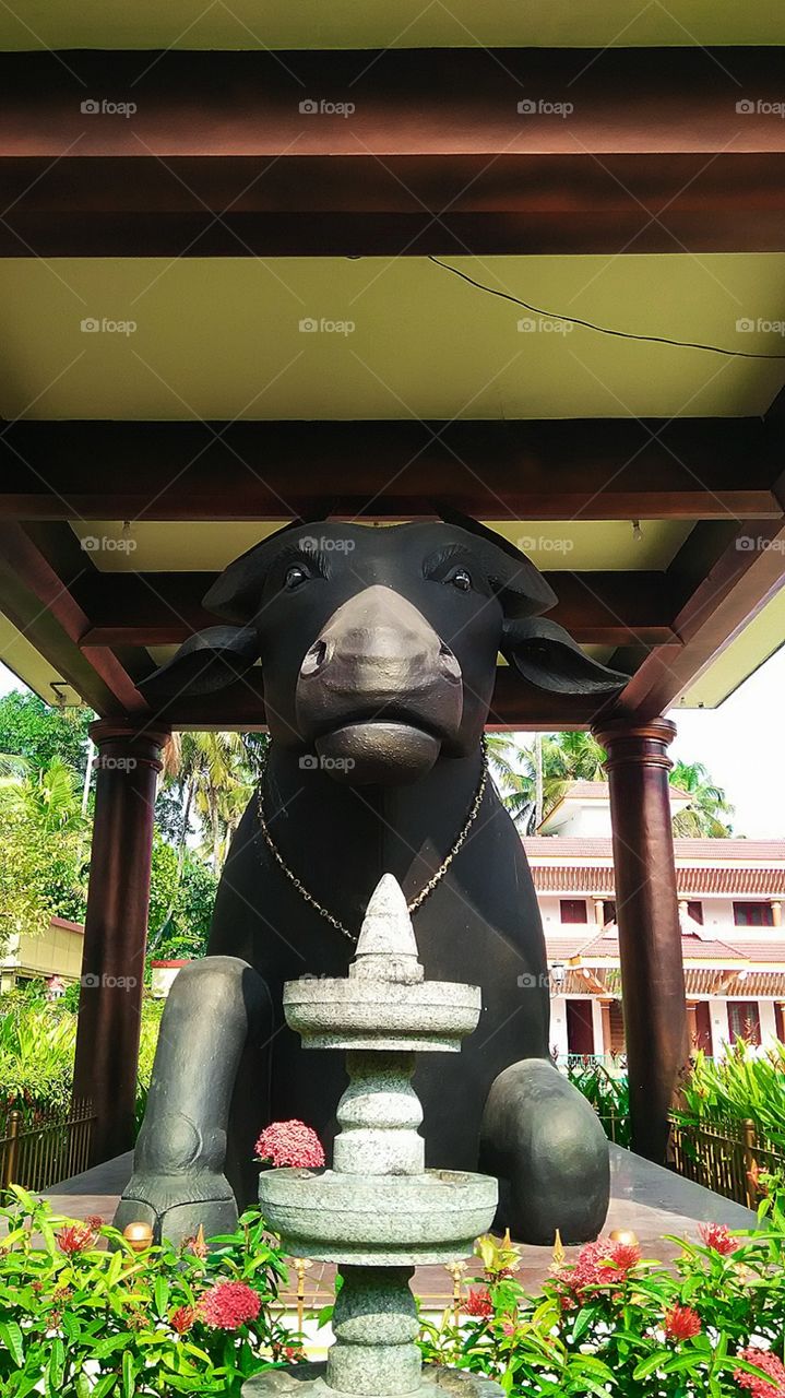 Sculpture, Zen, Buddha, Statue, Meditation