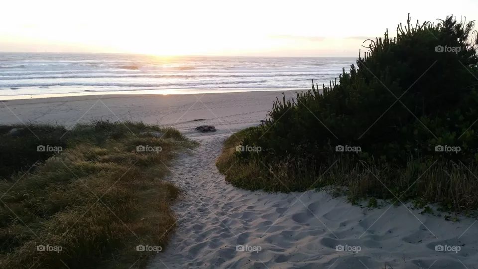 Water, Beach, Landscape, Seashore, Sea