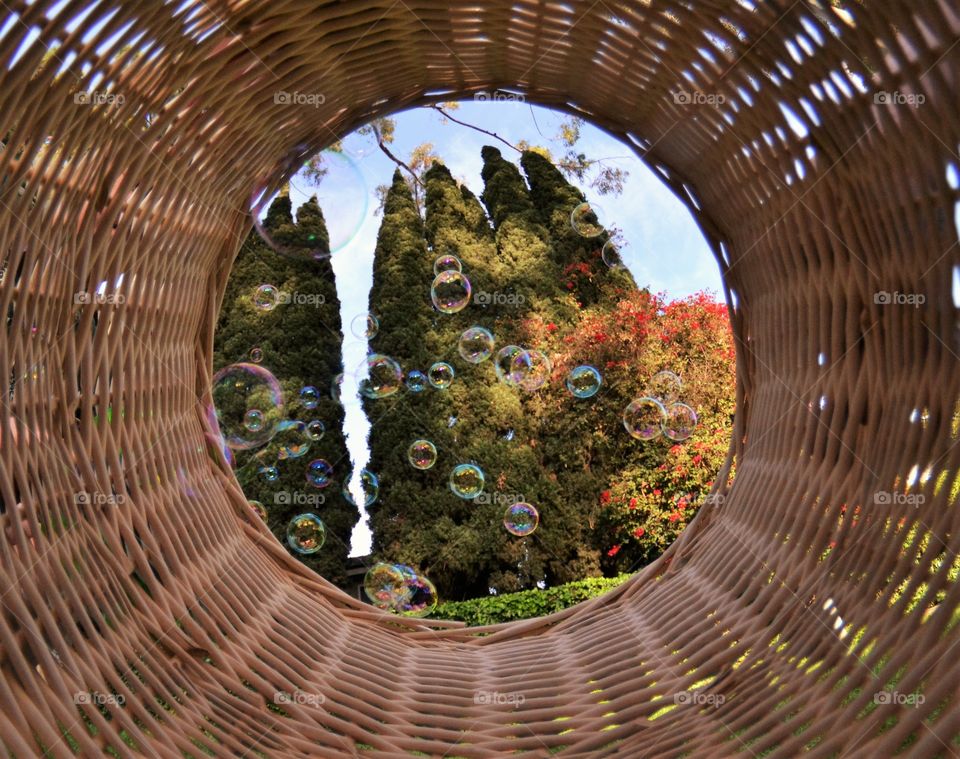 View from the basket