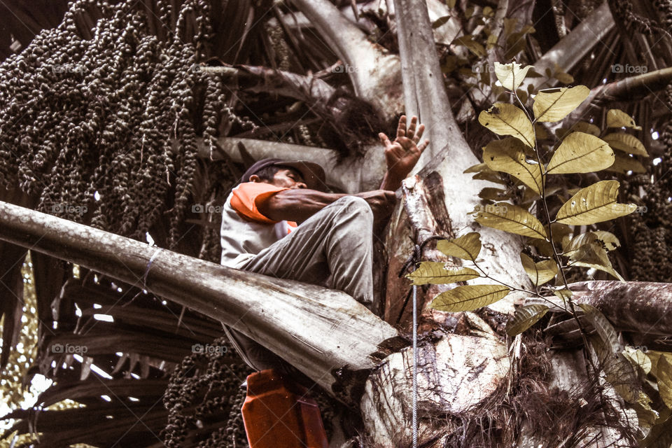 man working on the tree