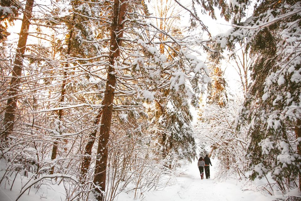 A young couple walking through a massive snowy forest on a tough hiking trail