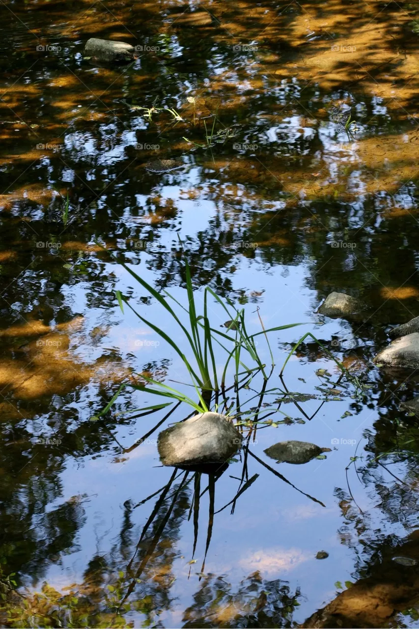 Reflection