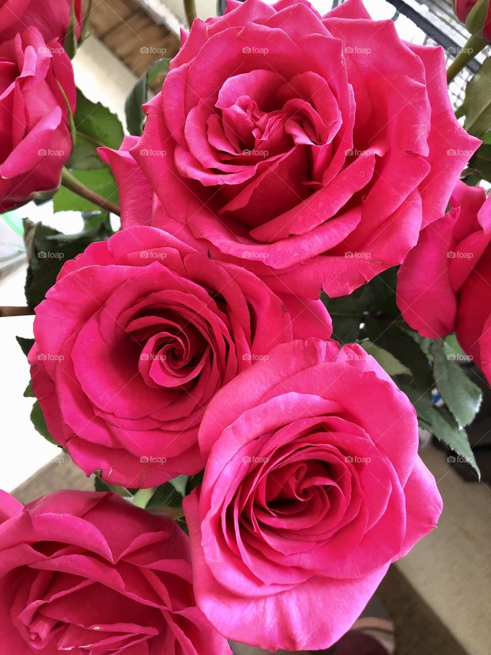 Zoomed in on the Roses 🌹