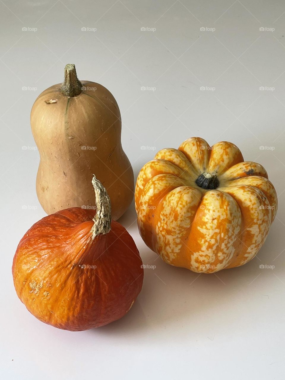 Assorted pumpkins and squashes against white background, autumn harvest, studio shot 