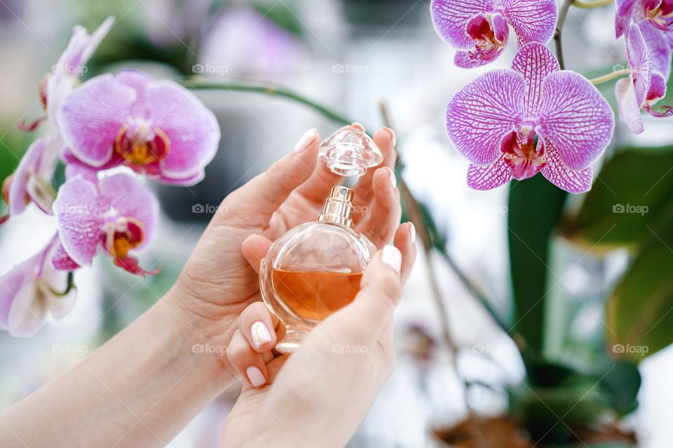 Woman hands holding a bottle of perfume. Feminine and elegance