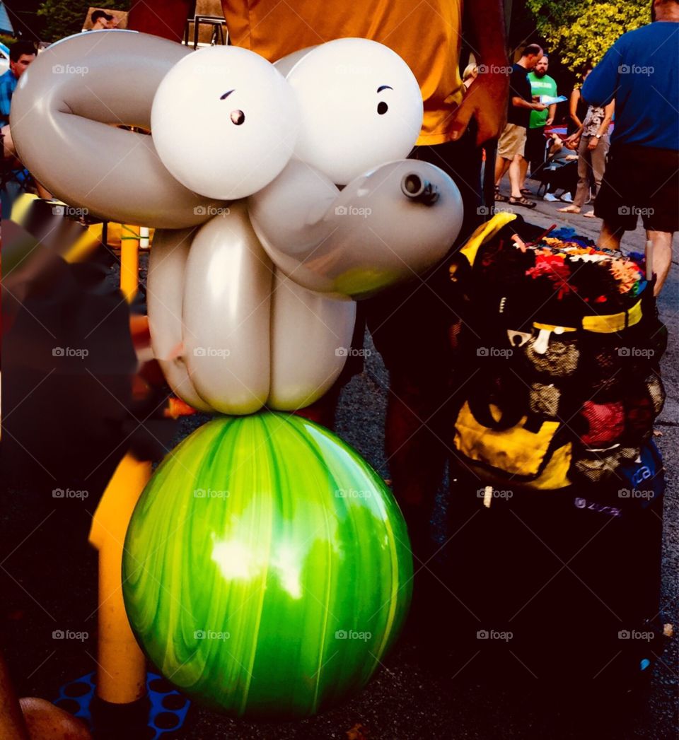 Balloon animals 