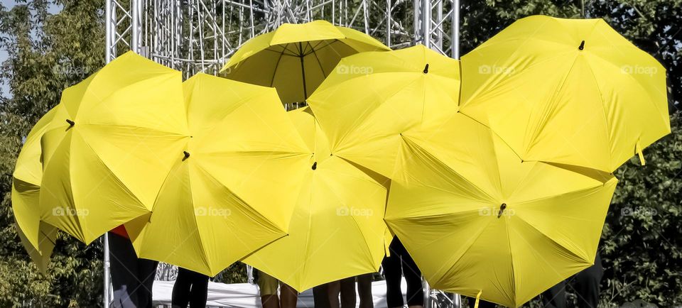 Several people hide behind yellow umbrellas 