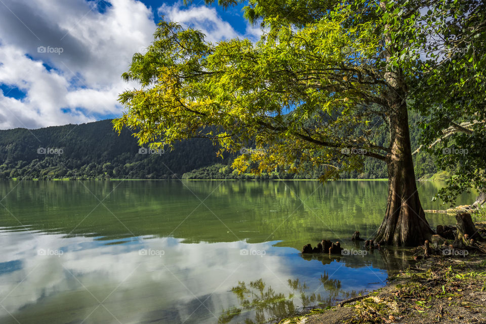 Walking around Lagoa da Furnas, Sao Miguel island, Azores, Portugal.