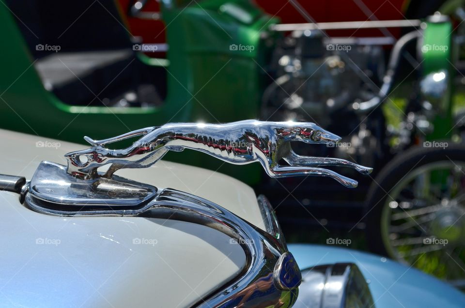 Lincoln Greyhound Hood Ornamen. Classic car show